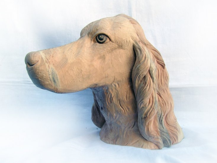 Ritratto setter Legno di Pino Cembro Ritratto setter Legno di Pino Cembro